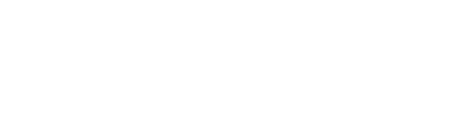 PARANERO